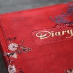 Red Diary Book Cover