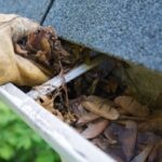 Fall Cleanup – Leaves in Gutter
