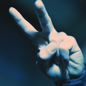 Hand Displaying Peace Sign
